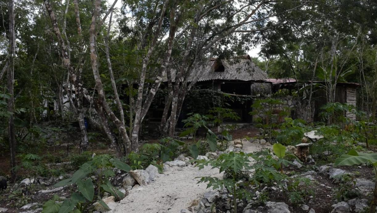 Ecolodge Uh May Francisco Uh May Kültér fotó