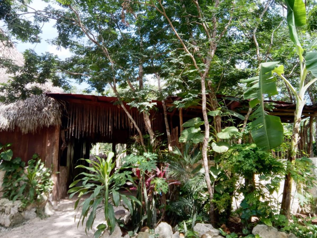 Ecolodge Uh May Francisco Uh May Kültér fotó